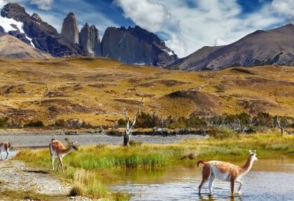 Excursión La Patagonia Express Enero 2026