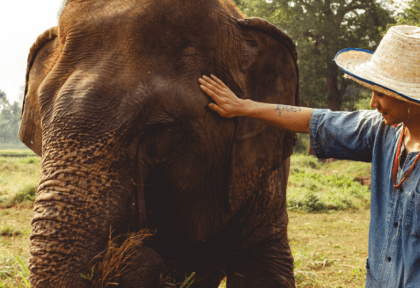 Excursión Sudeste Asiático Enero 2026